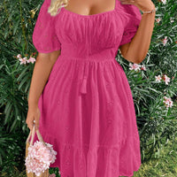 WYWH plus Size Elegant Pleated Chest Cutout Embroidered Dress