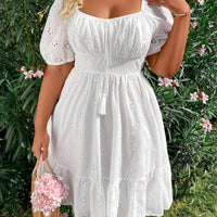 WYWH plus Size Elegant Pleated Chest Cutout Embroidered Dress