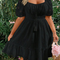 WYWH plus Size Elegant Pleated Chest Cutout Embroidered Dress